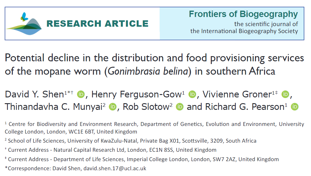 Potential decline in the distribution and food provisioning services of the mopane worm (Gonimbrasia belina) in southern Africa