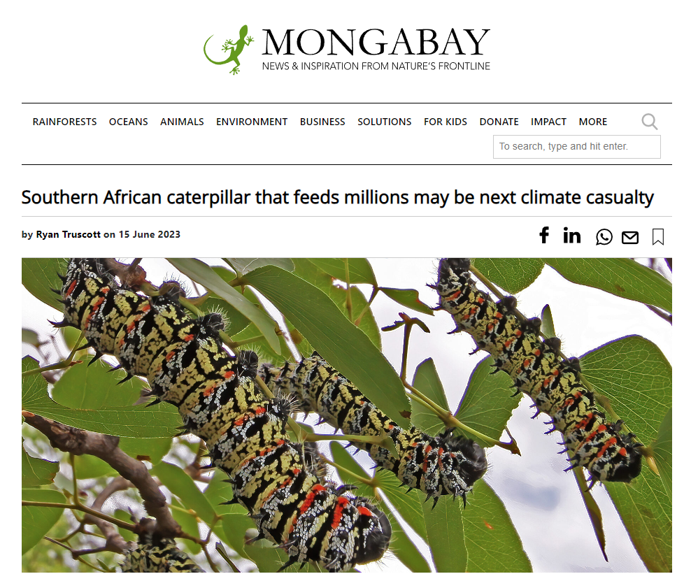 Contributed to an article written about my work in Mongabay